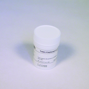 Protein A Sepharose CL-4B antibody purification resin